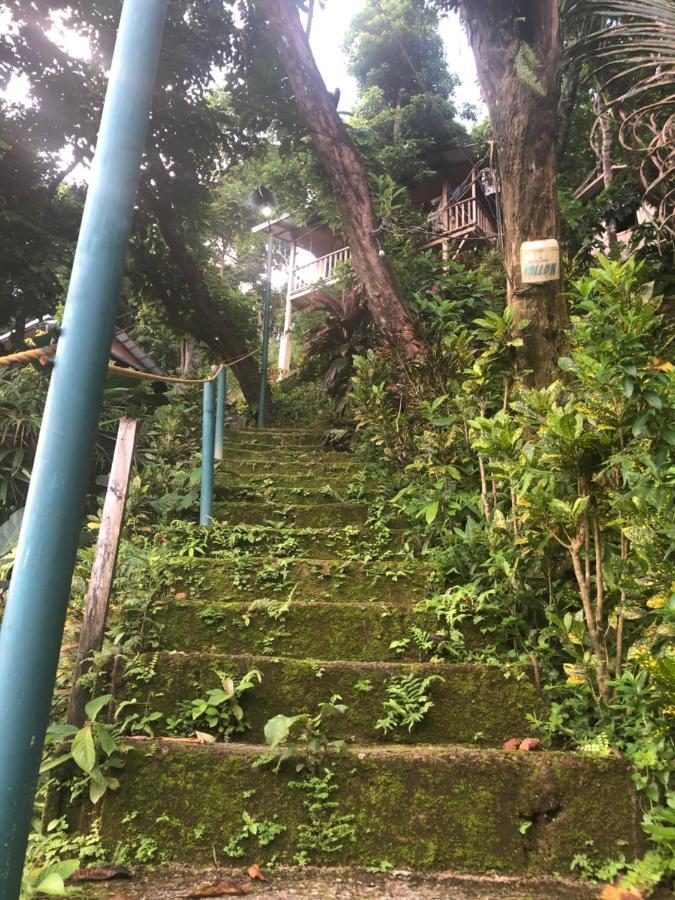 Balecabugaocottagesrental エルニド エクステリア 写真